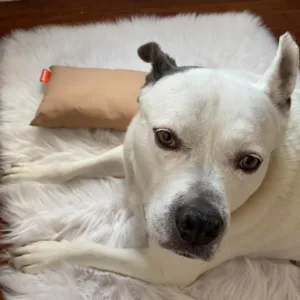 mini travel pillow 6