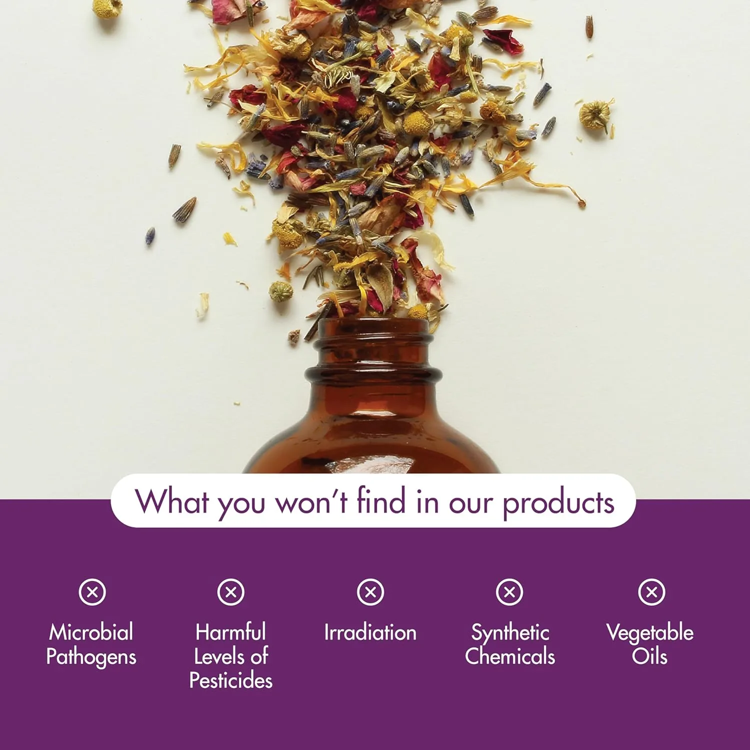 now solutions peppermint 6