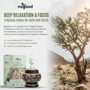 organic frankincense resin 6