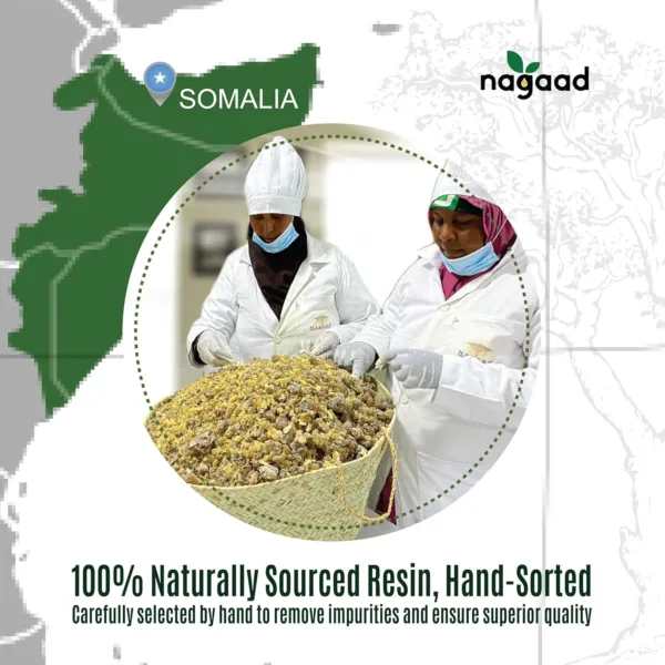 organic frankincense resin 7