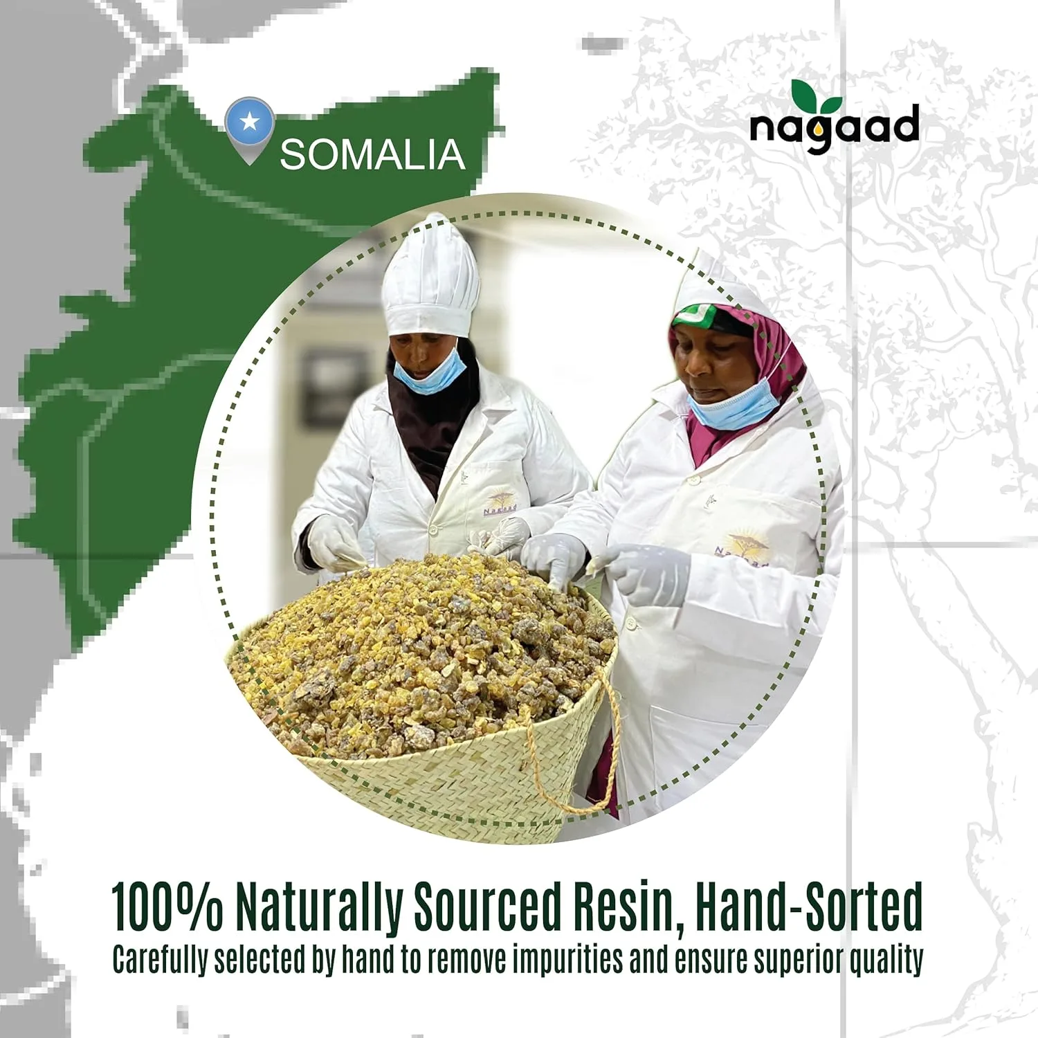 organic frankincense resin 7