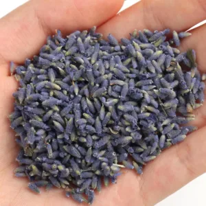 organic lavender buds 3