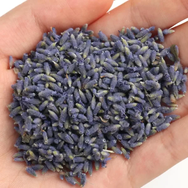 organic lavender buds 3
