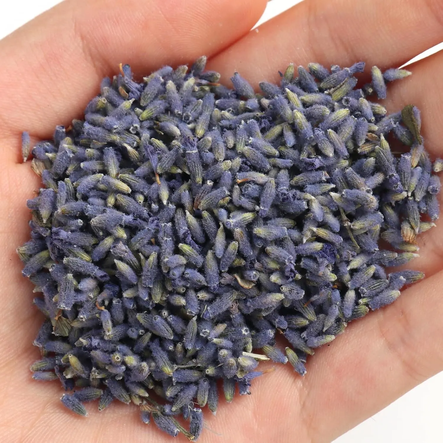 organic lavender buds 3