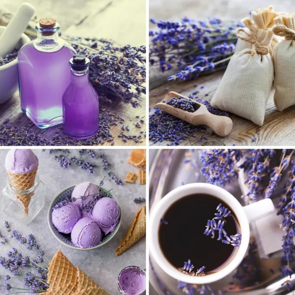 organic lavender buds 5