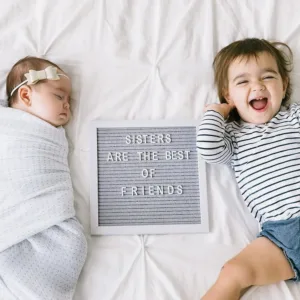 pearhead wooden letter 6