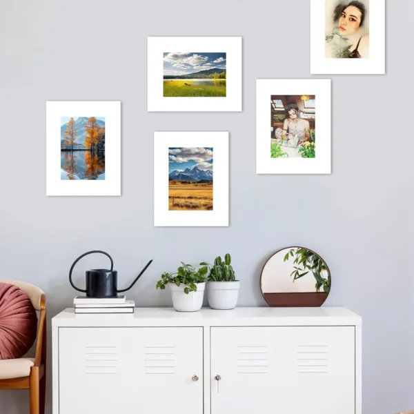 picture frame mats 2