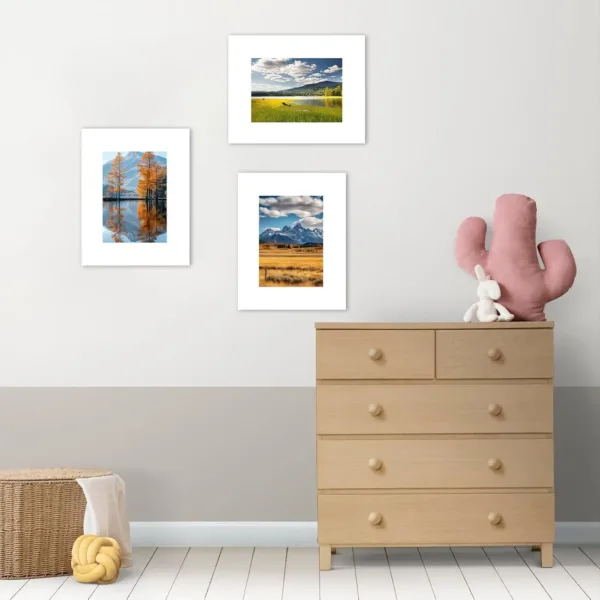 picture frame mats 3