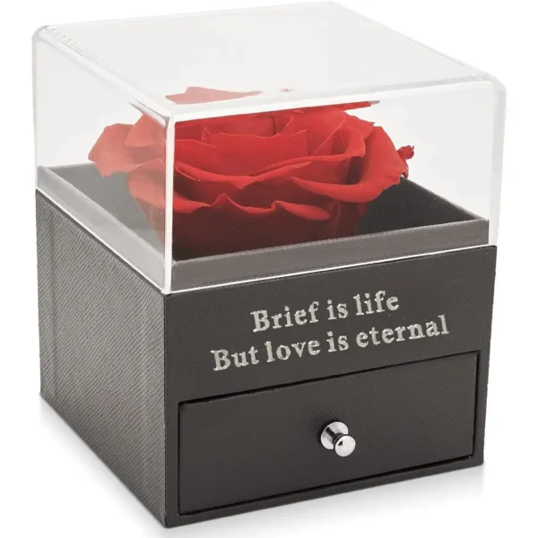 preserved rose heart necklace 7