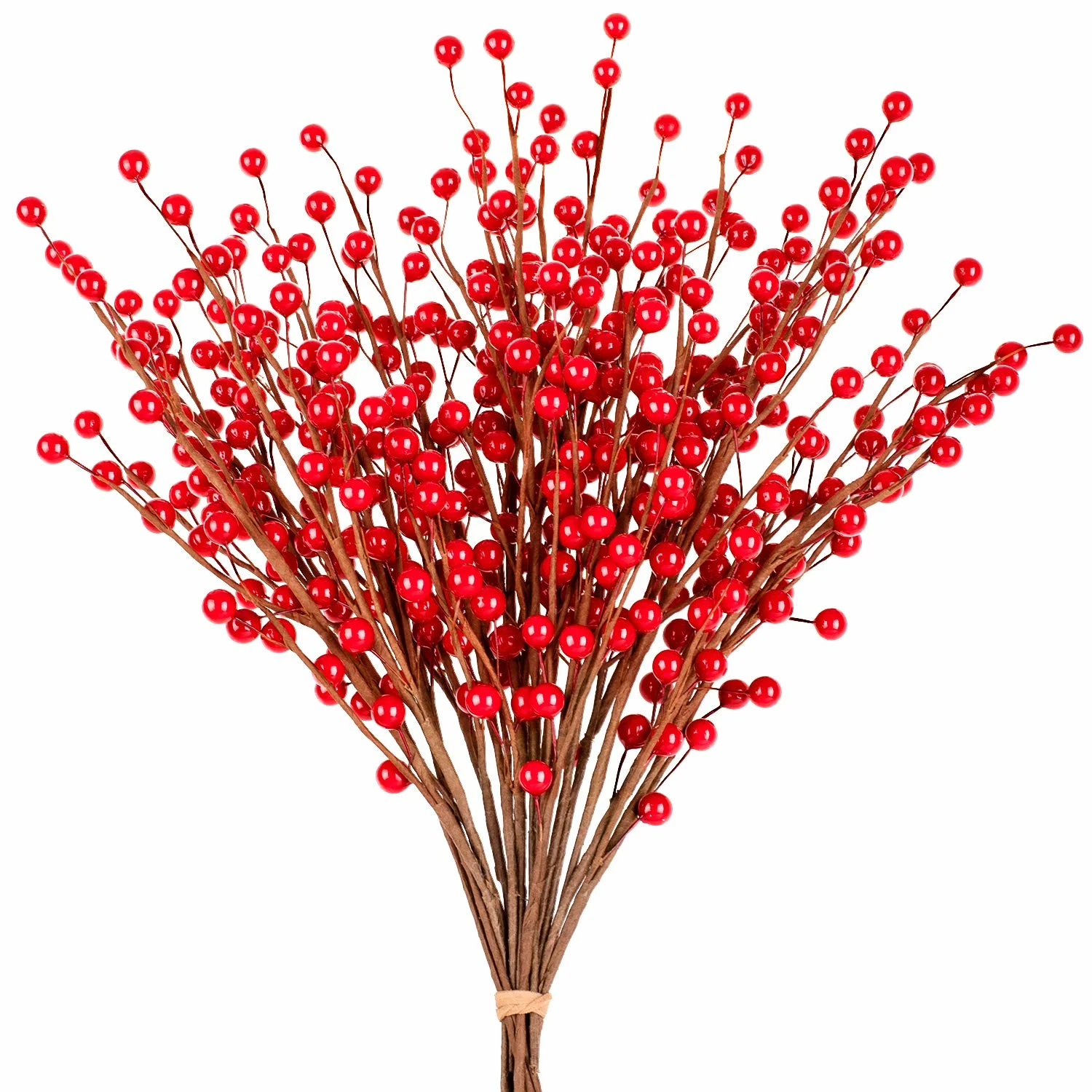 red berry stems 1