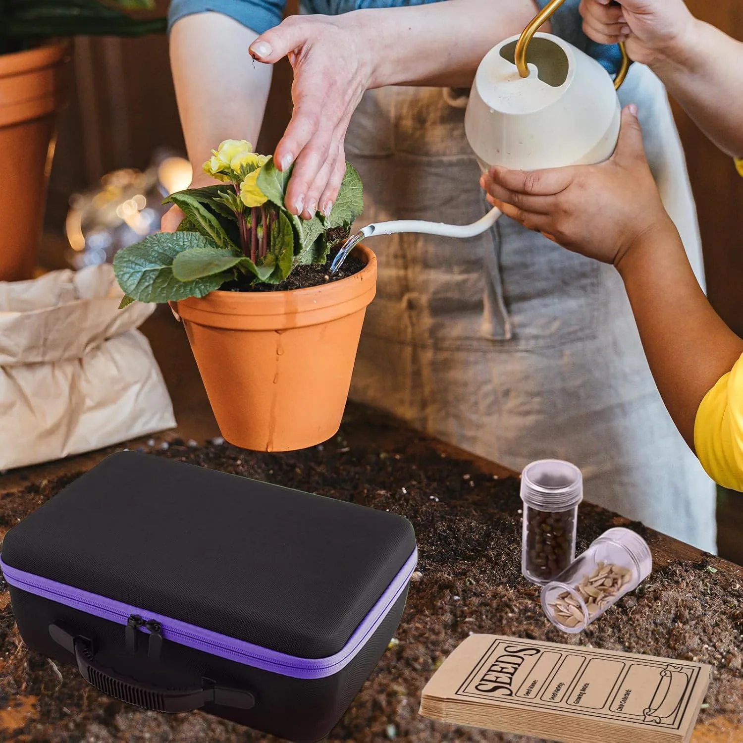 seed storage organizer 6