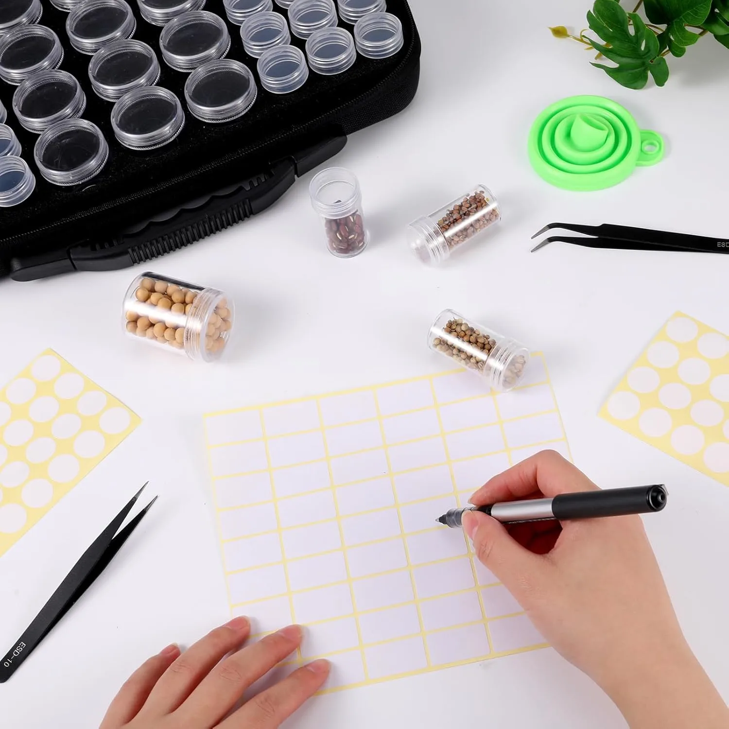 seed storage organizer box 3