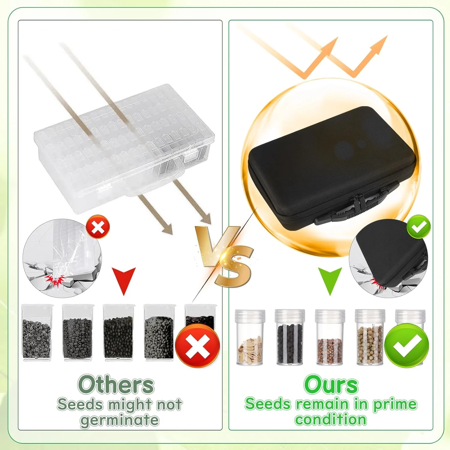 seed storage organizer box 5