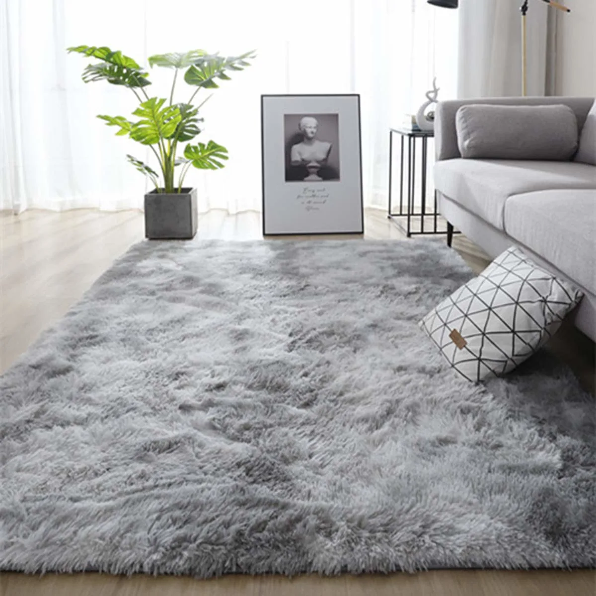 shaggy area rug 2