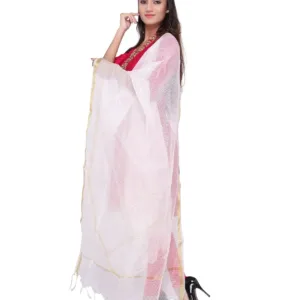 silk checkered dupatta 2