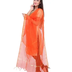 silk dupatta orange 2