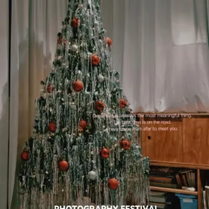 silver foil fringe xmas 4