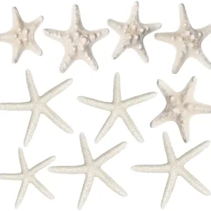 starfish decor crafts 1