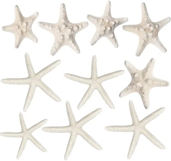starfish decor crafts 1