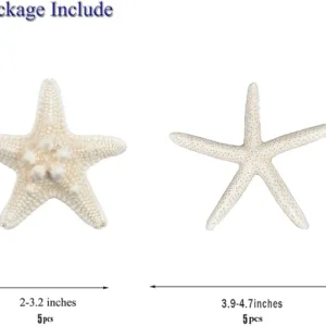 starfish decor crafts 2