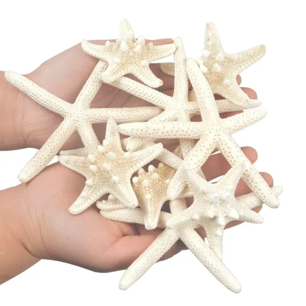 starfish decor crafts 3