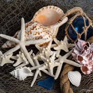 starfish decor crafts 4