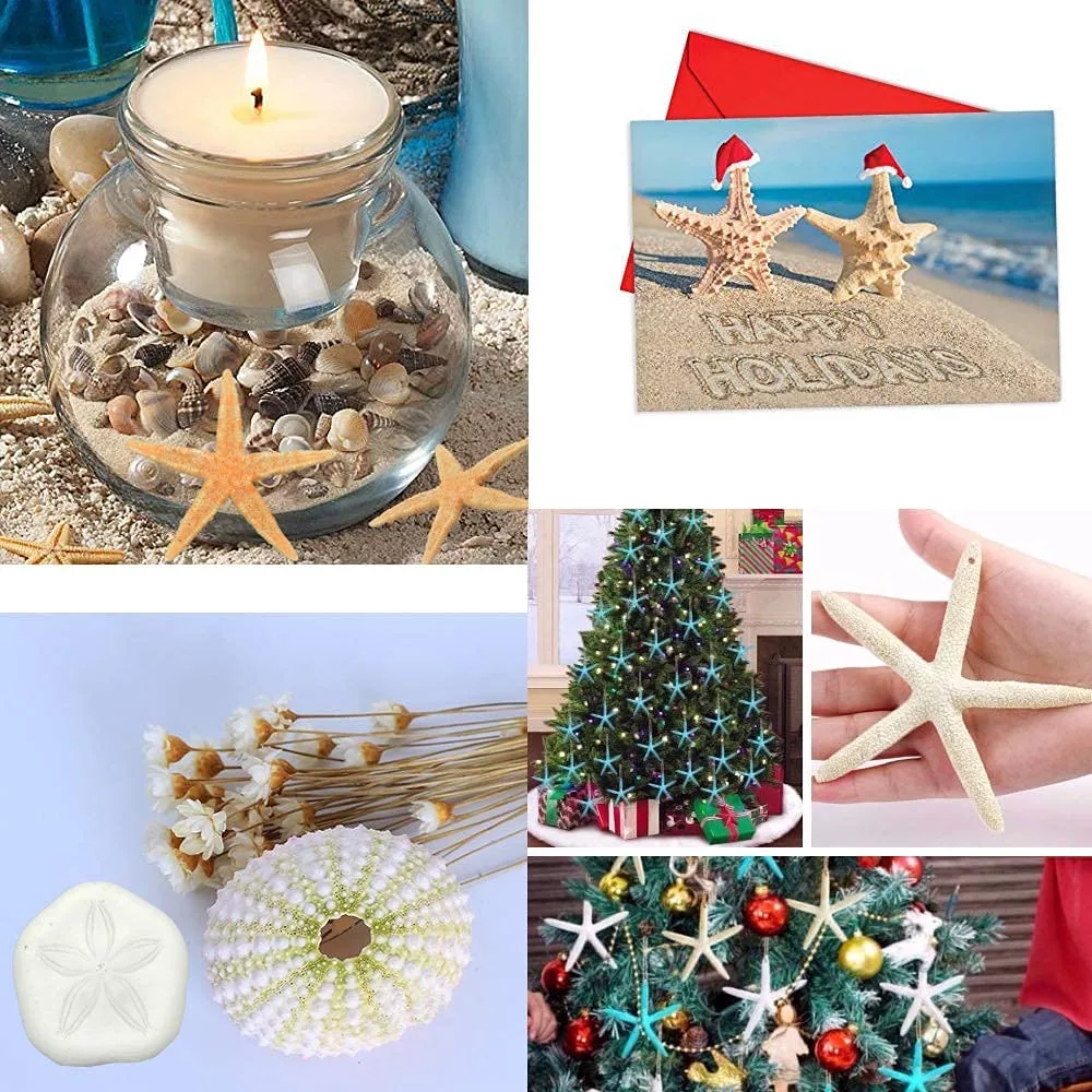 starfish decor crafts 5