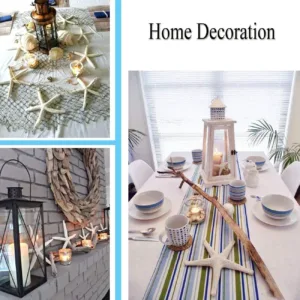 starfish decor crafts 6