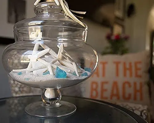 starfish decor crafts 7