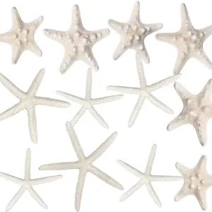starfish decor white 1