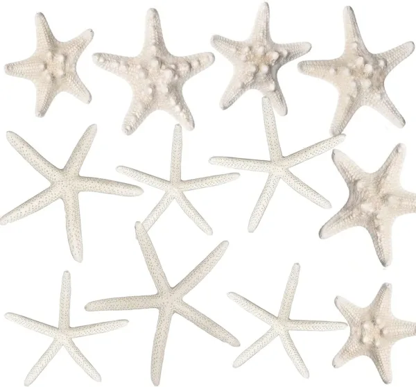 starfish decor white 1