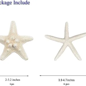 starfish decor white 2