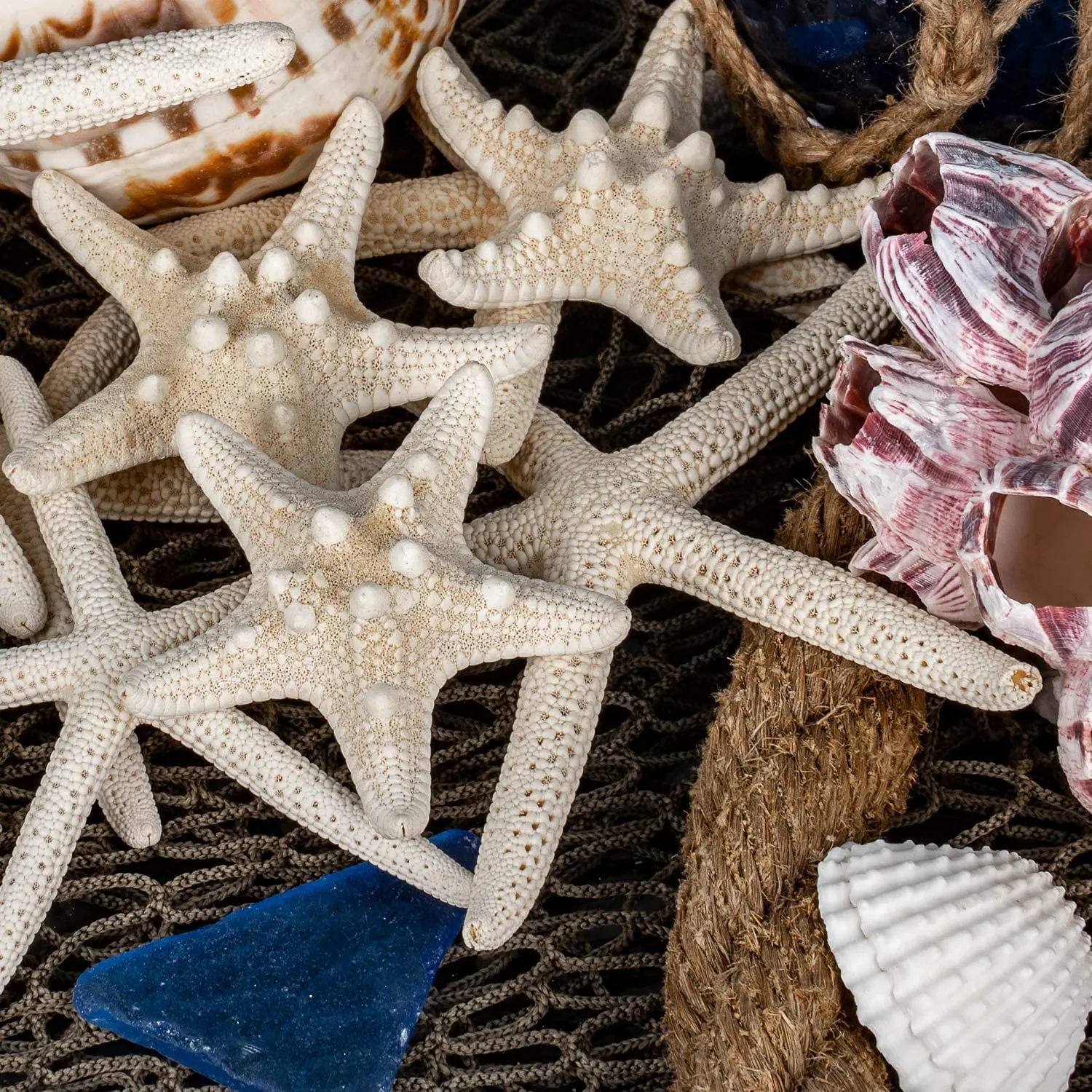 starfish decor white 3