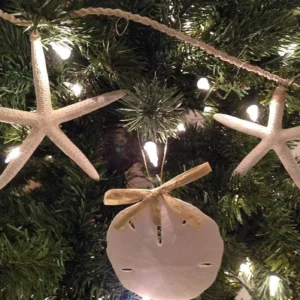 starfish decor white 4