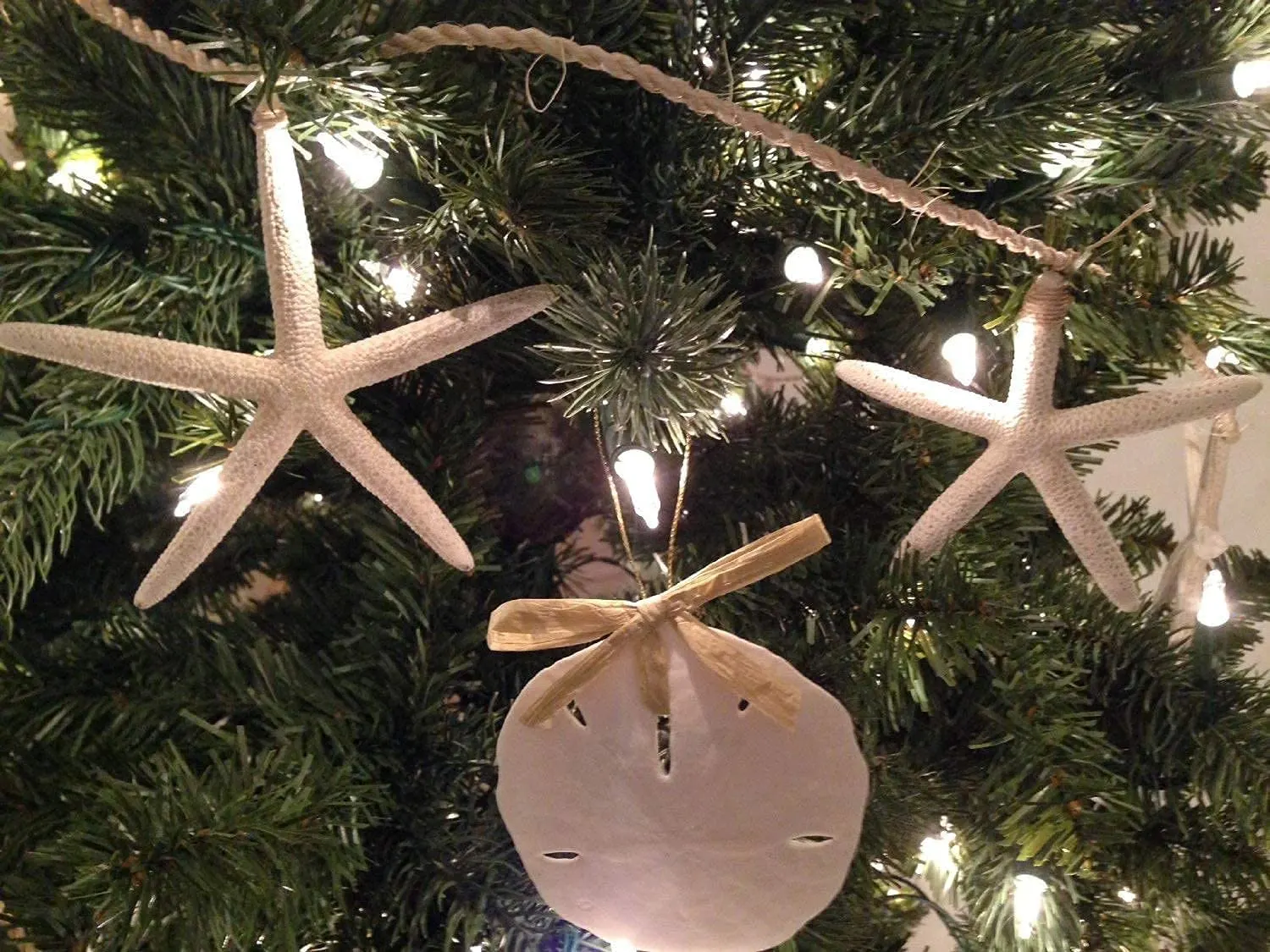 starfish decor white 4