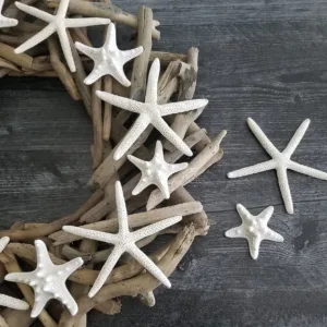 starfish decor white 6
