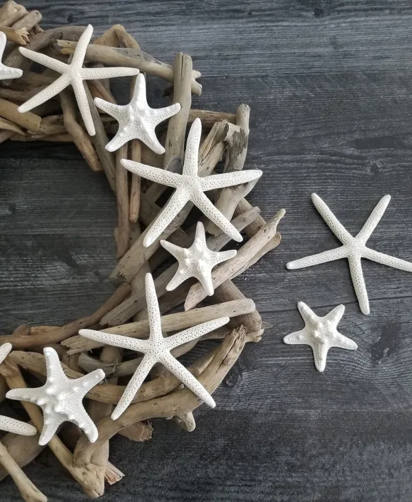 starfish decor white 6