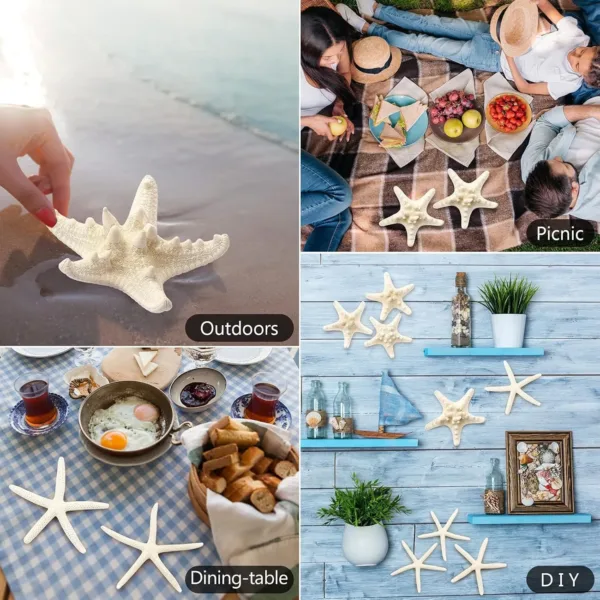 starfish decor white 7