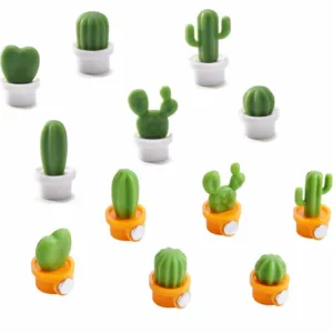 succulent refrigerator magnets 1