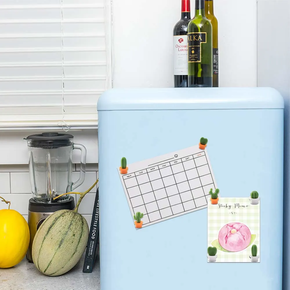 succulent refrigerator magnets 3