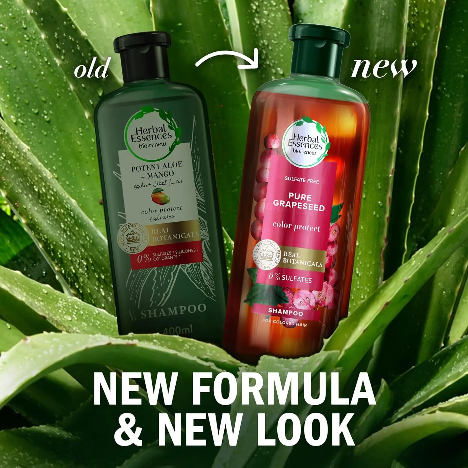 Herbal Essences color protect shampoo and conditioner set, enriched with antioxidant-rich grapeseed, helps maintain vibrant hair color for up to 12 weeks while nourishing and softening hair without sulfates, parabens, or colorants.