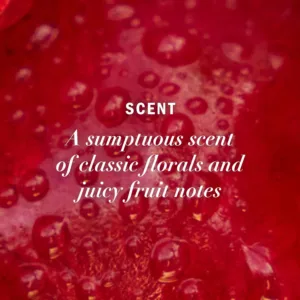 Herbal Essences color protect shampoo and conditioner set, enriched with antioxidant-rich grapeseed, helps maintain vibrant hair color for up to 12 weeks while nourishing and softening hair without sulfates, parabens, or colorants.