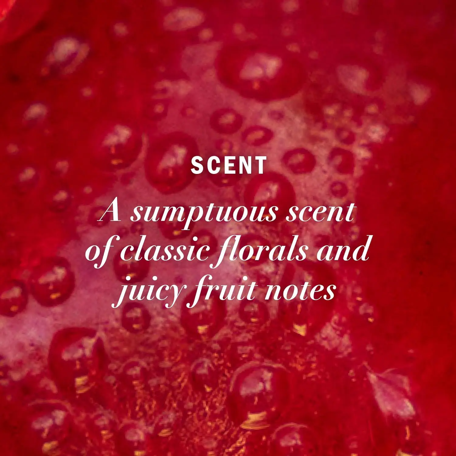 Herbal Essences color protect shampoo and conditioner set, enriched with antioxidant-rich grapeseed, helps maintain vibrant hair color for up to 12 weeks while nourishing and softening hair without sulfates, parabens, or colorants.