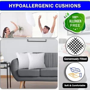 throw pillow inserts 3