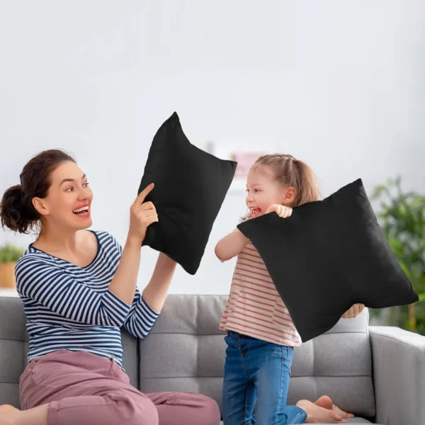 throw pillows insert 3