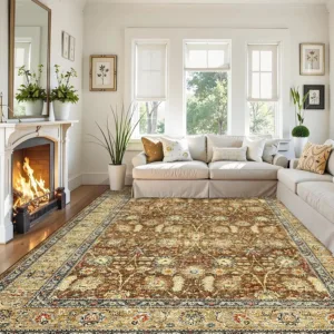 washable rug living 1