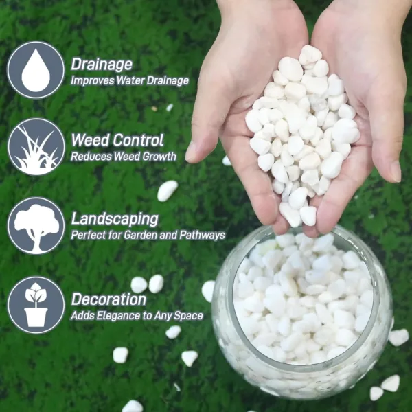 white rocks plants 2