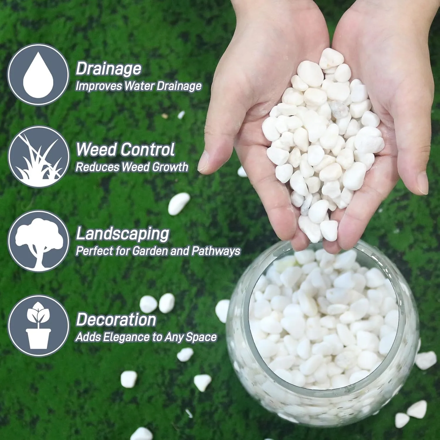 white rocks plants 2