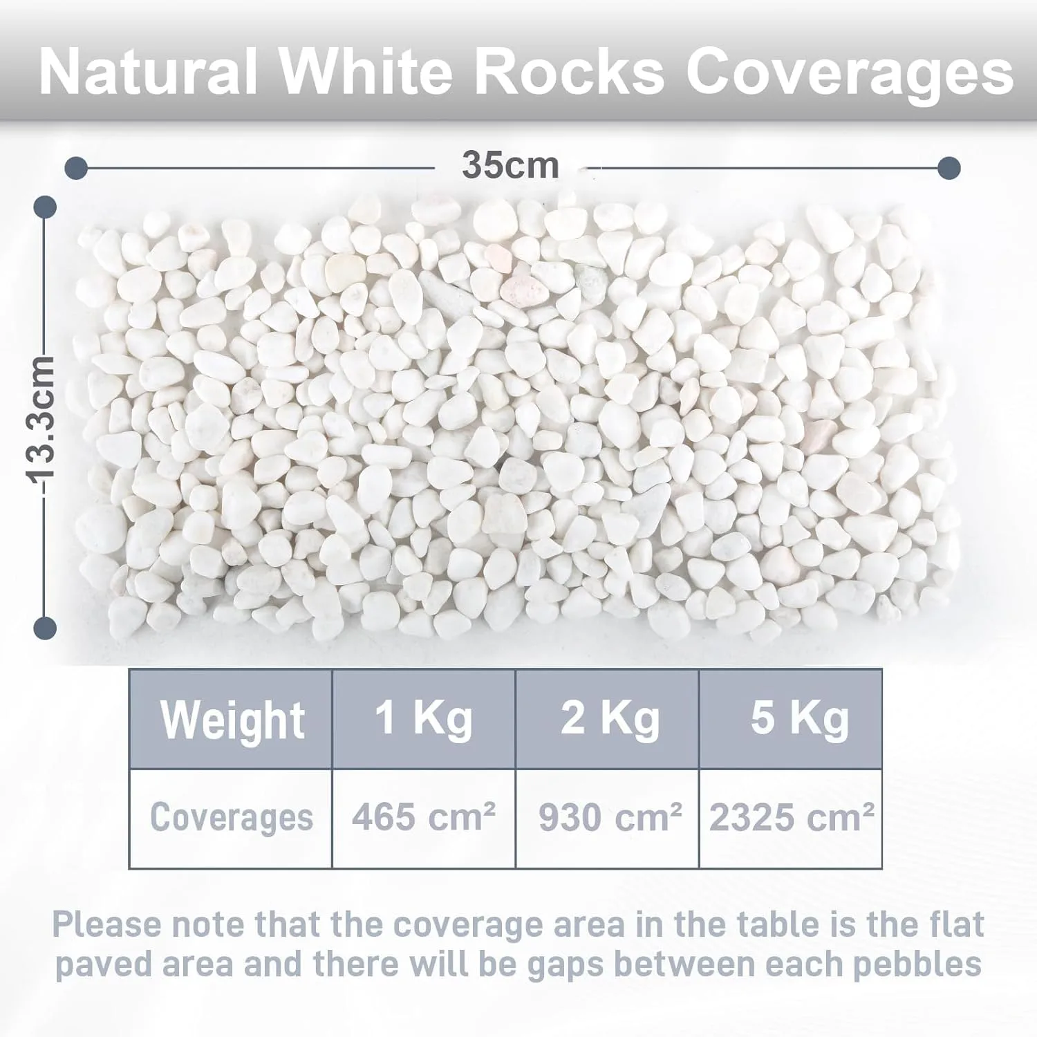 white rocks plants 5