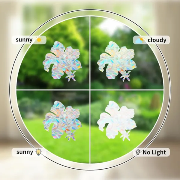 window film hummingbird 4